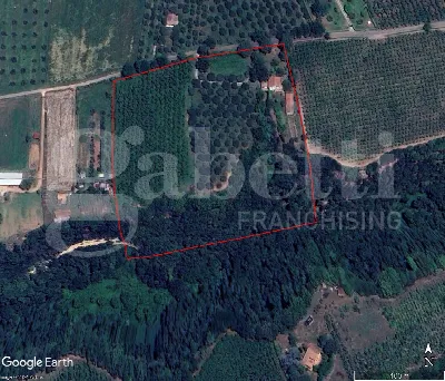 Villetta a schiera in vendita a Gallese - foto 2