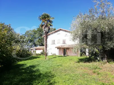 Villetta a schiera in vendita a Gallese - foto 3