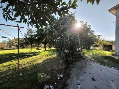 Appartamento in vendita a Corchiano - foto 2