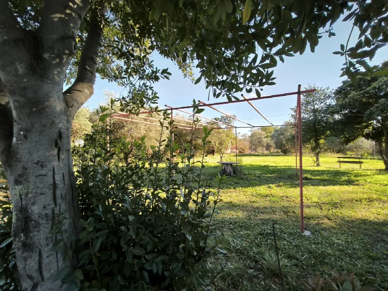 Appartamento in vendita a Corchiano - foto 6