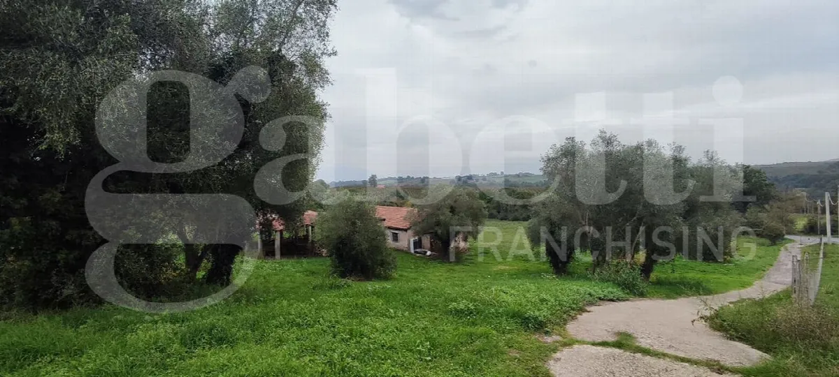Rustico/Casale in vendita a Civita Castellana - foto 2