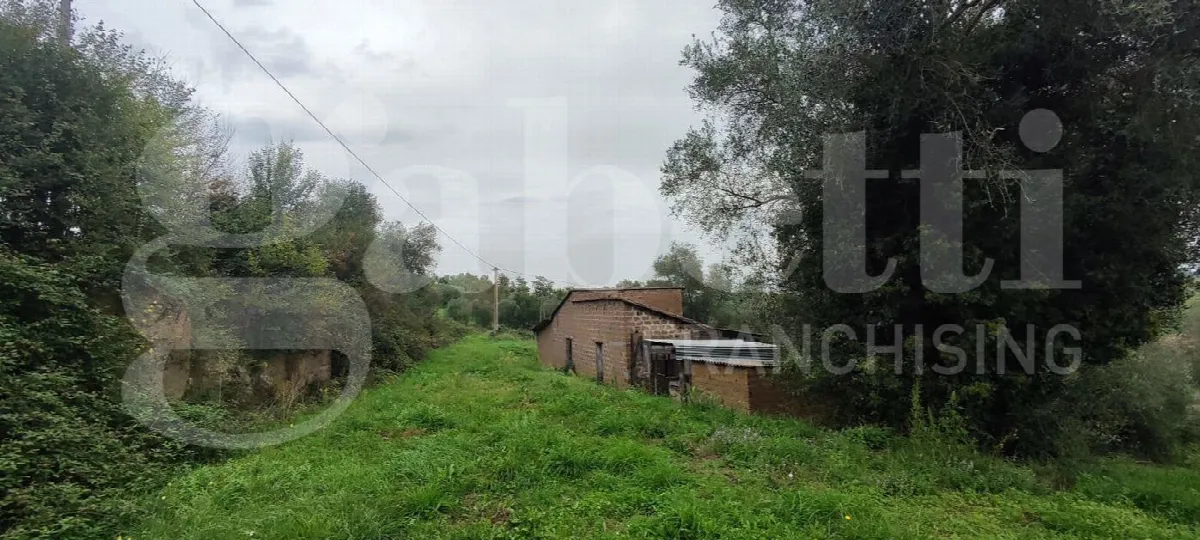 Rustico/Casale in vendita a Civita Castellana - foto 3
