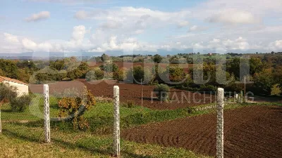 Rustico/Casale in vendita a Civita Castell... - foto 5