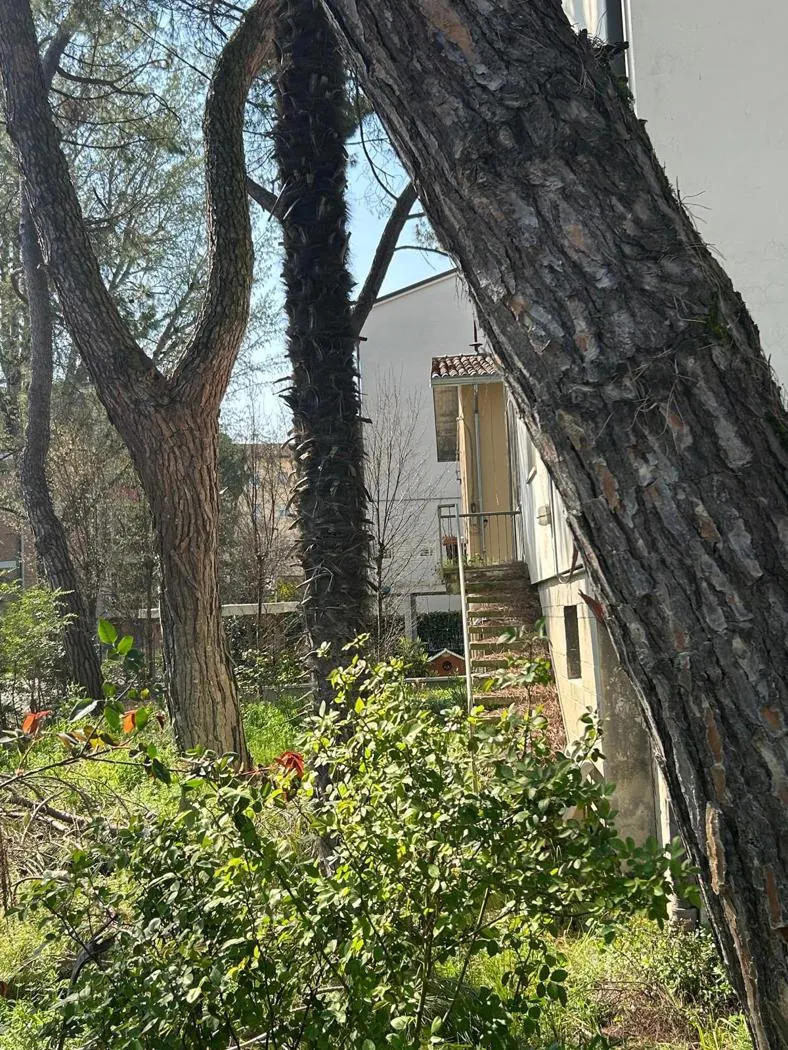 Casa Indipendente in vendita a Faenza - foto 6