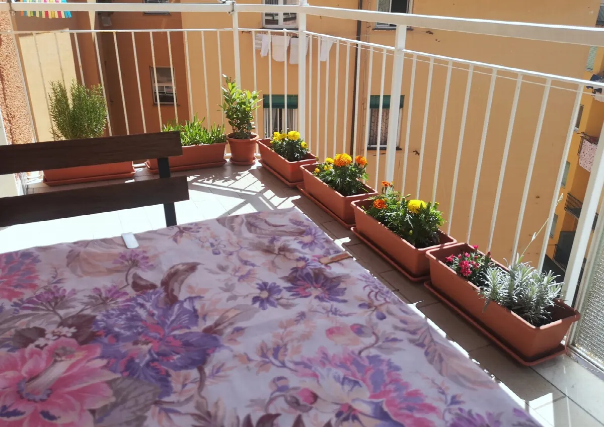 Appartamento in vendita a Rapallo - foto 5