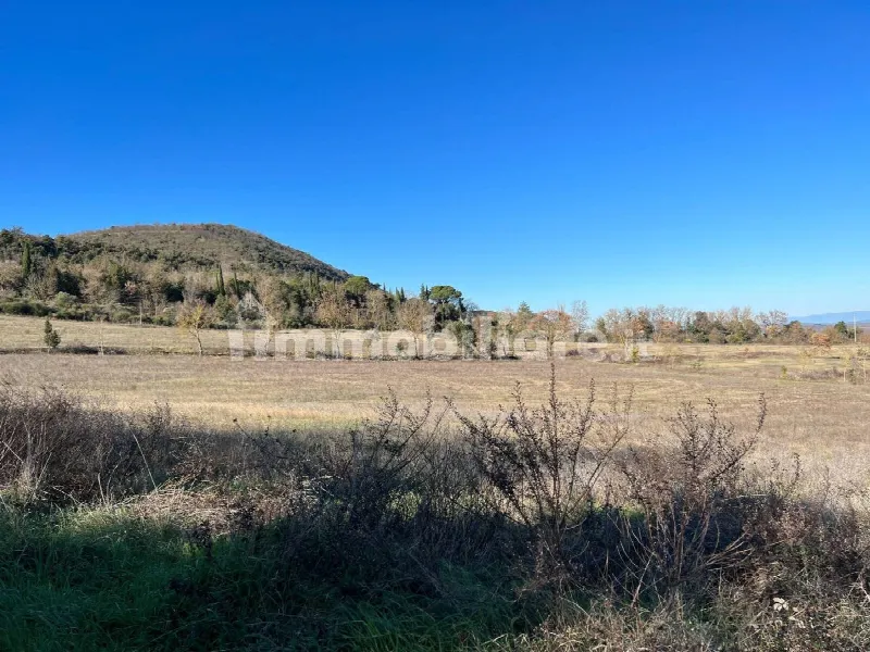 Rustico/Casale in vendita a Trequanda - foto 10