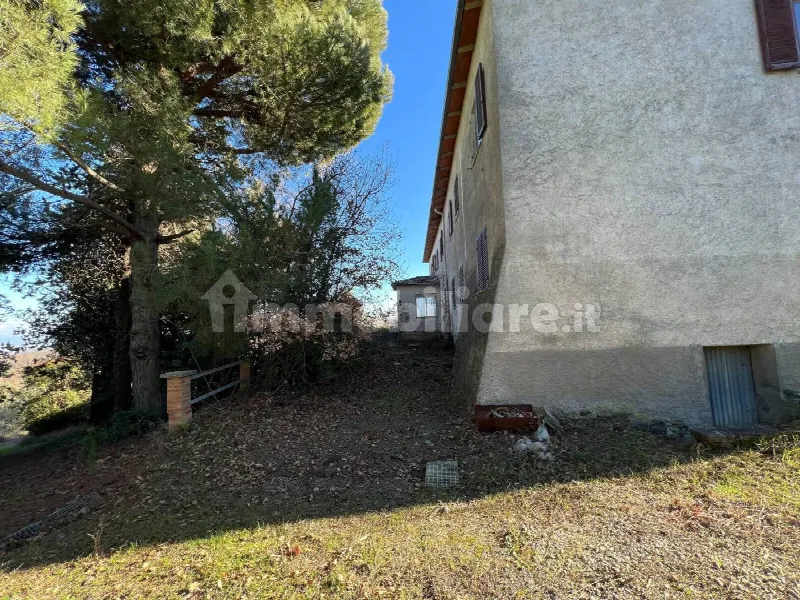 Rustico/Casale in vendita a Trequanda - foto 3