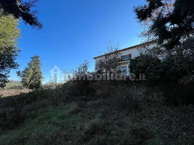 Rustico/Casale in vendita a Trequanda - foto 4