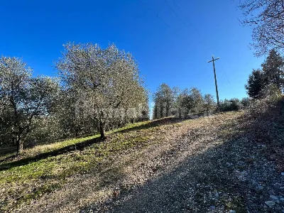 Rustico/Casale in vendita a Trequanda - foto 5