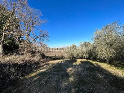 Rustico/Casale in vendita a Trequanda - foto 8