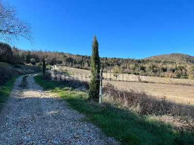 Rustico/Casale in vendita a Trequanda - foto 9