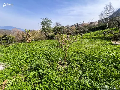 Casa Indipendente in vendita a Celle di Bu... - foto 9