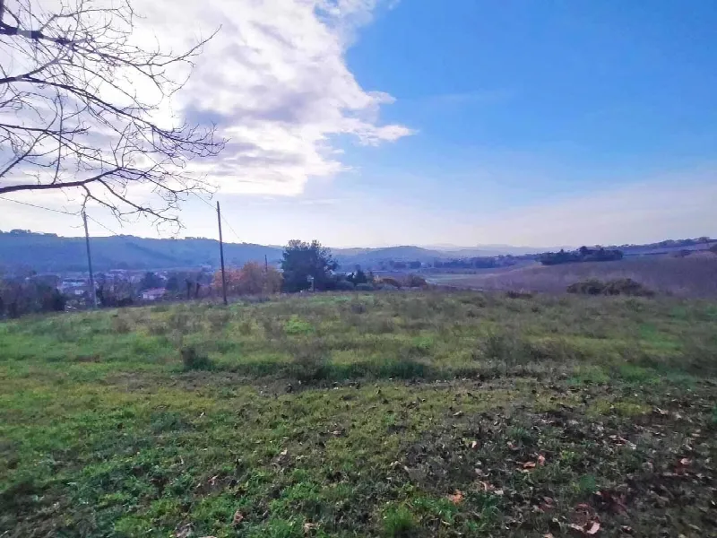 Casa Indipendente in vendita a Ostra - foto 5