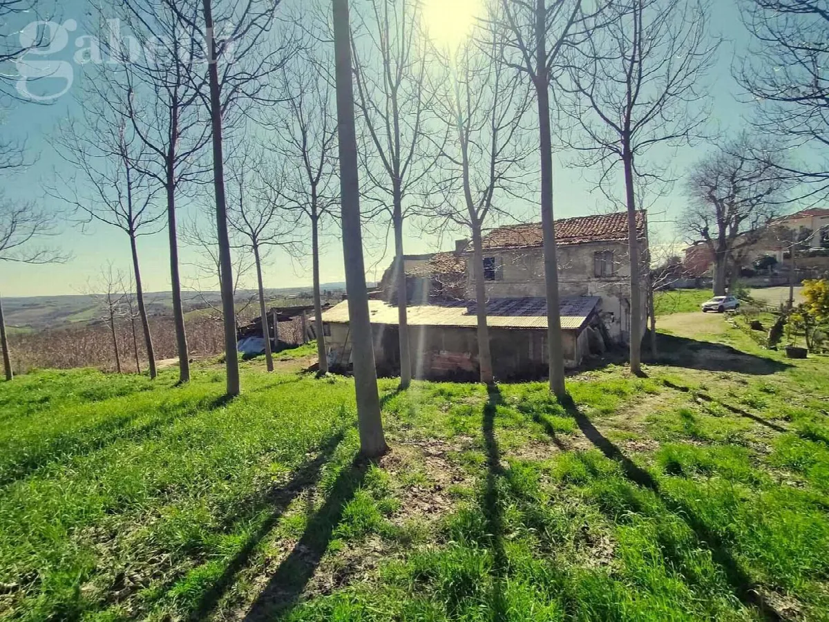 Rustico/Casale in vendita a Corinaldo - foto 4