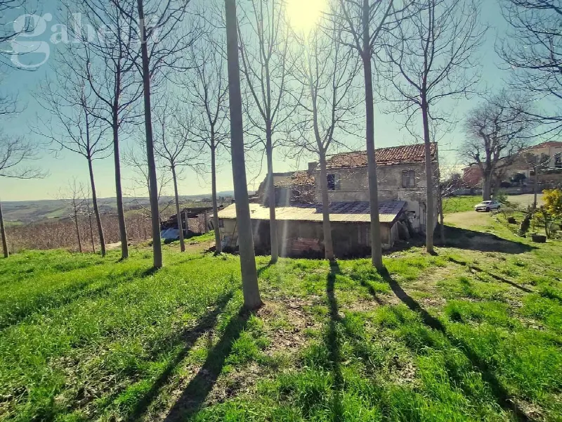 Rustico/Casale in vendita a Corinaldo - foto 4