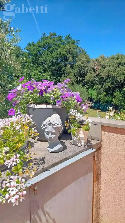 Villetta a schiera in vendita a Senigallia - foto 3