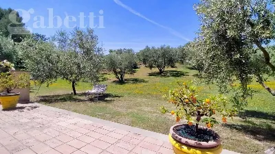 Villetta a schiera in vendita a Senigallia - foto 4