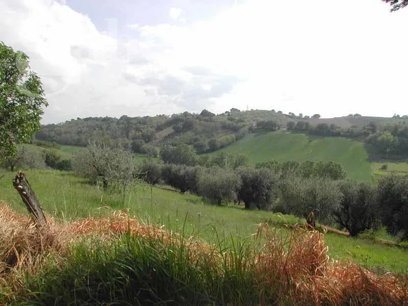 Rustico/Casale in vendita a Senigallia - foto 3