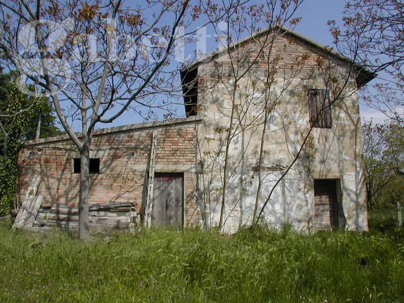 Rustico/Casale in vendita a Senigallia - foto 4