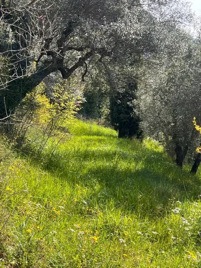 Villa in vendita a Terni, Cardeto, battist... - foto 2