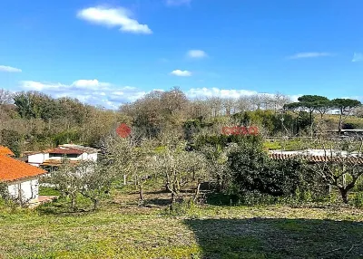 Rustico/Casale in vendita a Aprilia - foto 4