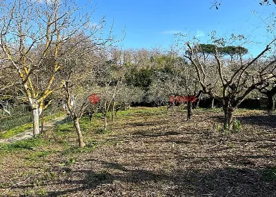 Rustico/Casale in vendita a Aprilia - foto 5