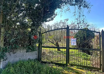 Rustico/Casale in vendita a Aprilia - foto 6