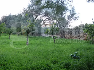 Casa Indipendente in vendita a Carini - foto 3