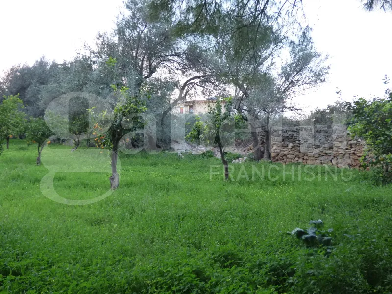 Casa Indipendente in vendita a Carini - foto 3