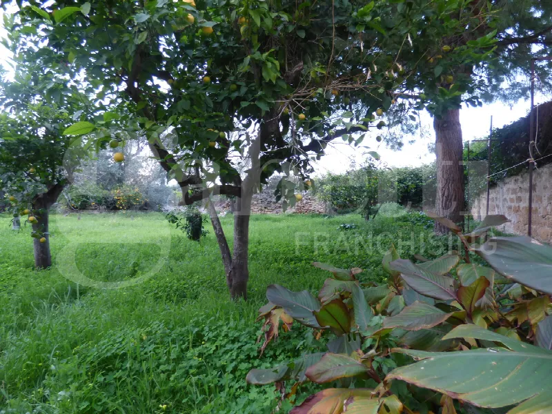 Casa Indipendente in vendita a Carini - foto 5