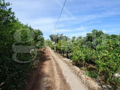 Rustico/Casale in vendita a Villabate - foto 3
