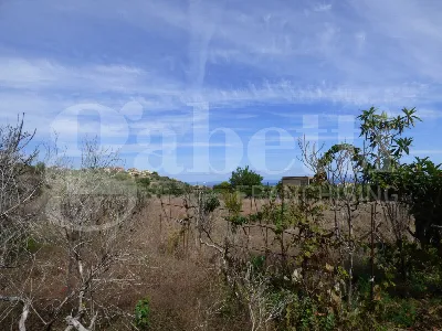Rustico/Casale in vendita a Villabate - foto 6
