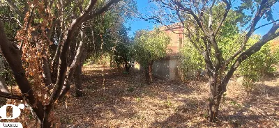 Rustico/Casale in vendita a Cefalù - foto 10