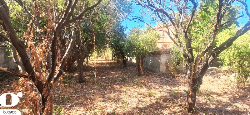 Rustico/Casale in vendita a Cefalù - foto 8