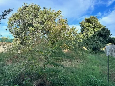 Casa Indipendente in vendita a Milazzo - foto 4