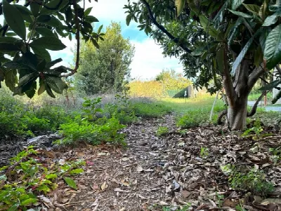 Casa Indipendente in vendita a Milazzo - foto 5