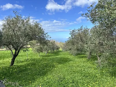 Villetta a schiera in vendita a Tripi - foto 9