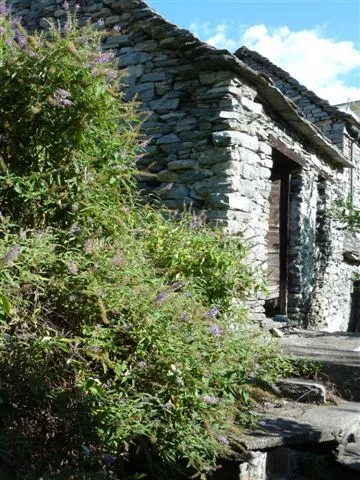 Rustico/Casale in vendita a Montecrestese - foto 2