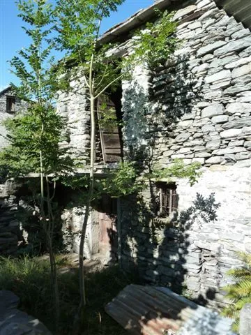 Rustico/Casale in vendita a Montecrestese - foto 3