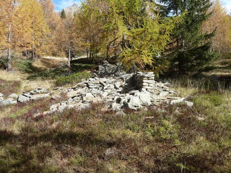 Rustico/Casale in vendita a Varzo - foto 1