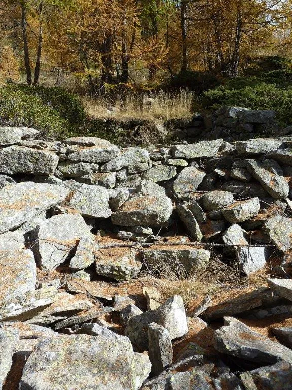 Rustico/Casale in vendita a Varzo - foto 3