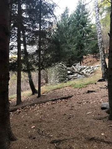Rustico/Casale in vendita a Varzo - foto 6