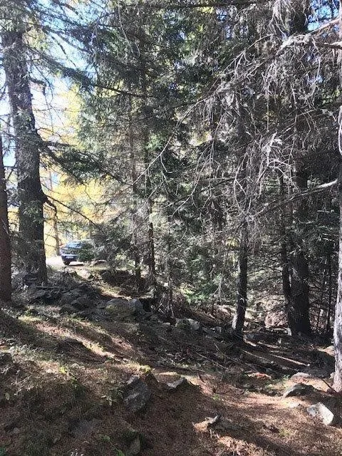 Rustico/Casale in vendita a Varzo - foto 3