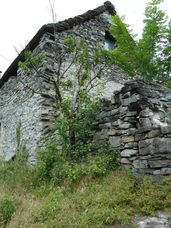 Rustico/Casale in vendita a Montecrestese - foto 3