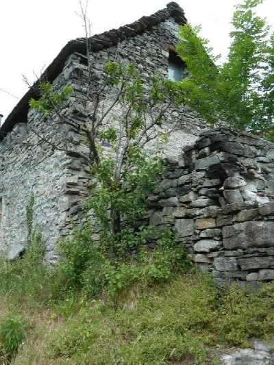 Rustico/Casale in vendita a Montecrestese - foto 3