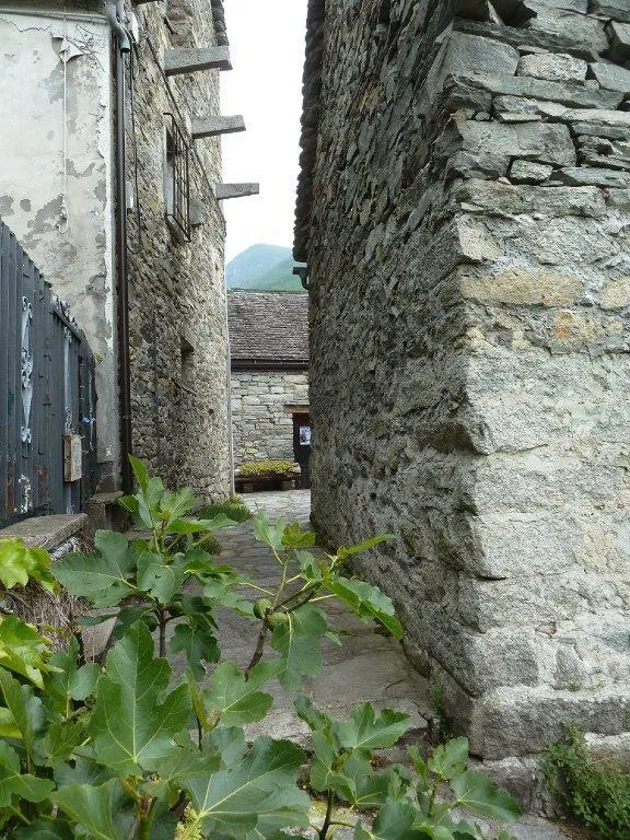 Rustico/Casale in vendita a Montecrestese - foto 4