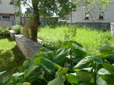 Casa Indipendente in vendita a Trontano - foto 5