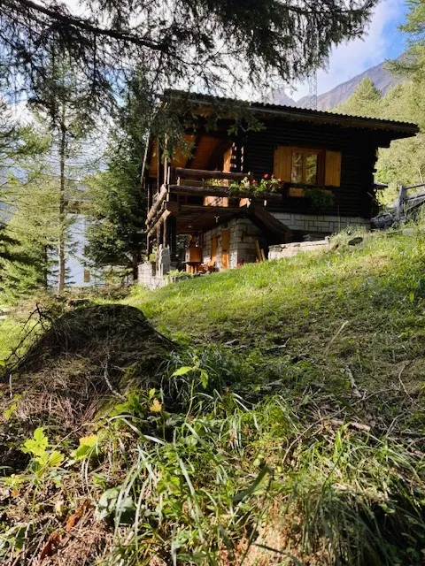 Rustico/Casale in vendita a Varzo - foto 2