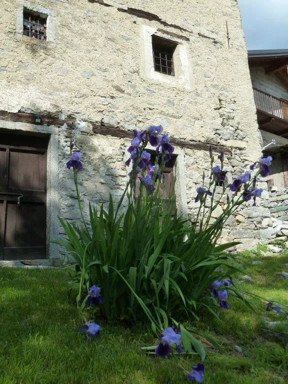 Rustico/Casale in vendita a Varzo - foto 5