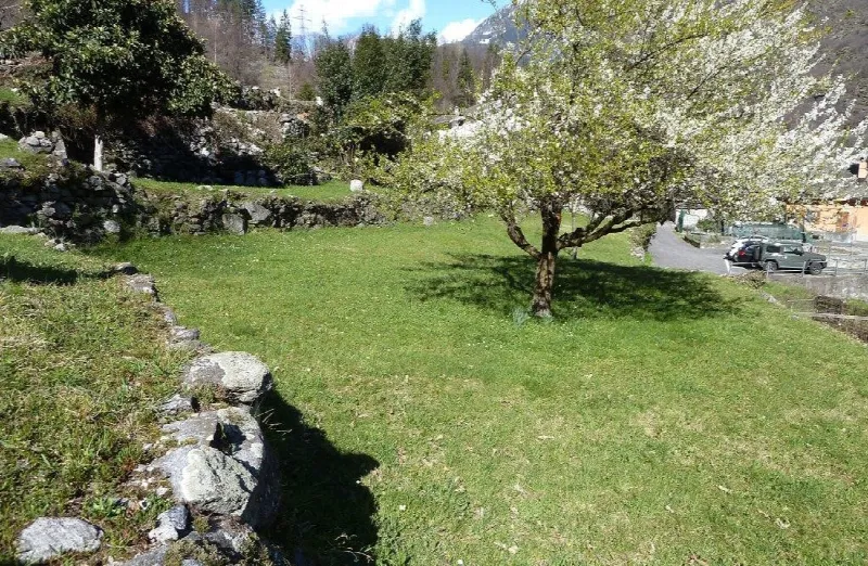 Rustico/Casale in vendita a Crodo - foto 4
